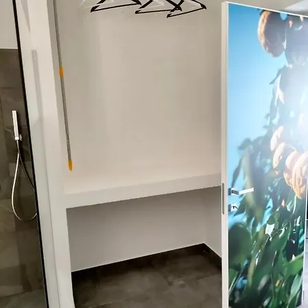 Leo נוטו