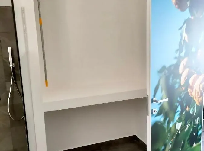 Leo נוטו
